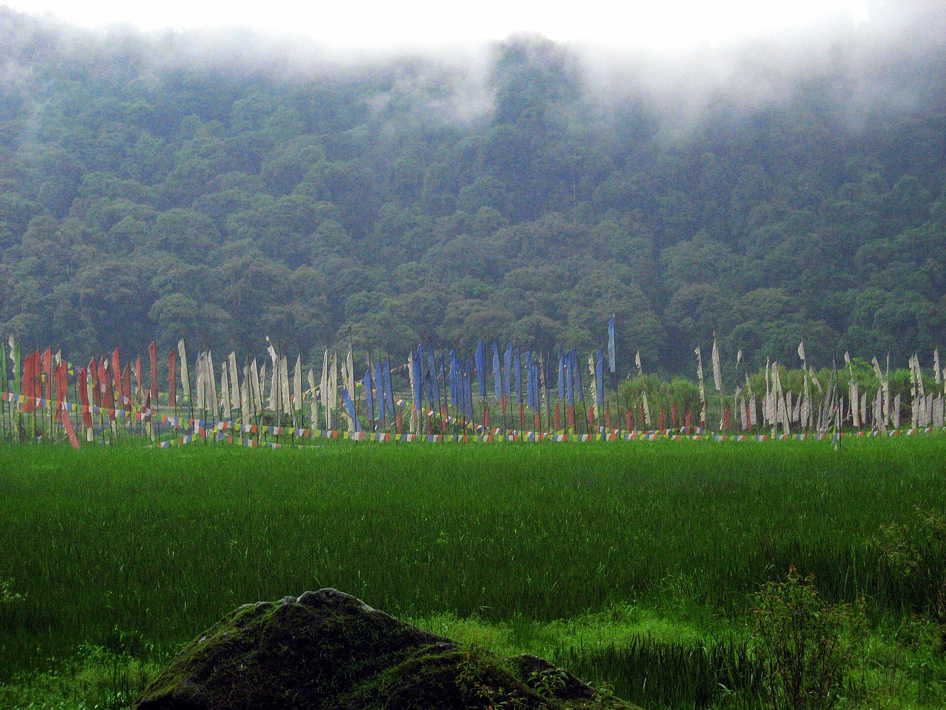 Prayer flags strung above a Himalayan valley