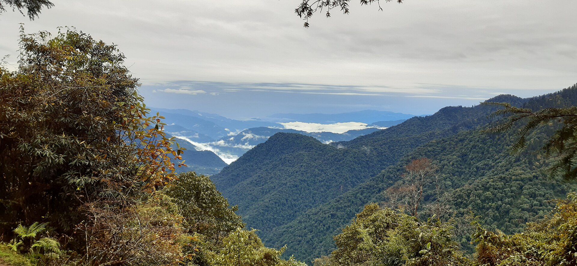 A quiet West Sikkim valley on a clear morning