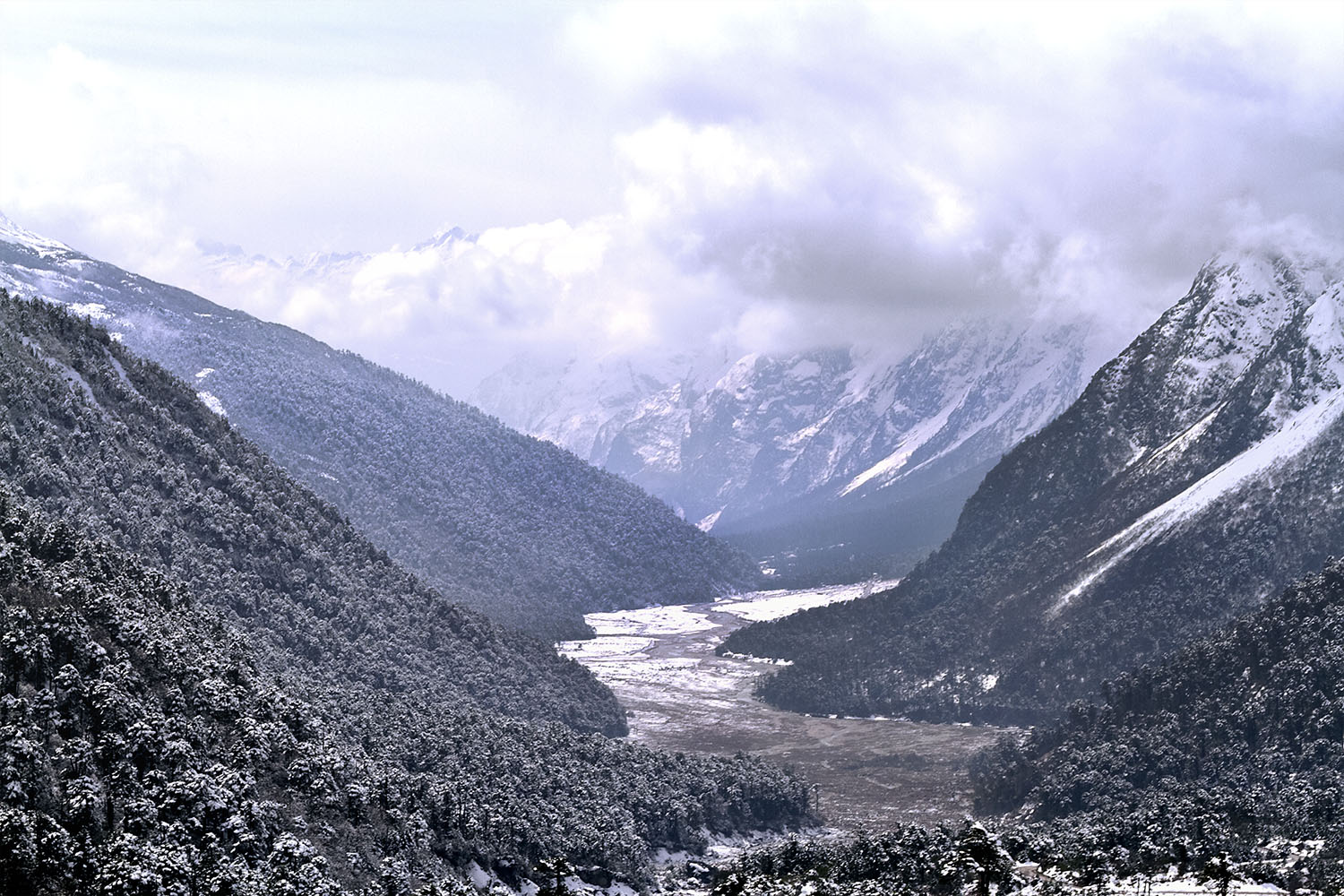 Mountain road following a Himalayan river